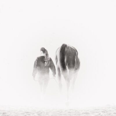 Cavalière N&B